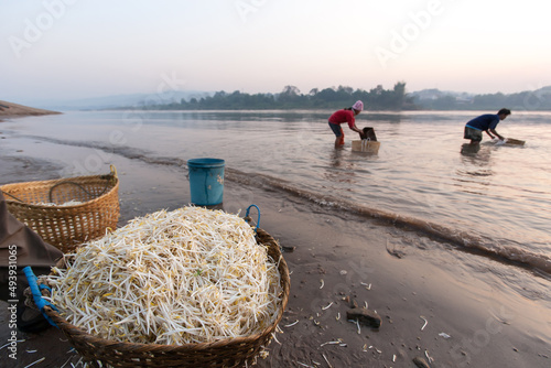 Farmers wash bean sprouts in the Mekong River at sunrise.