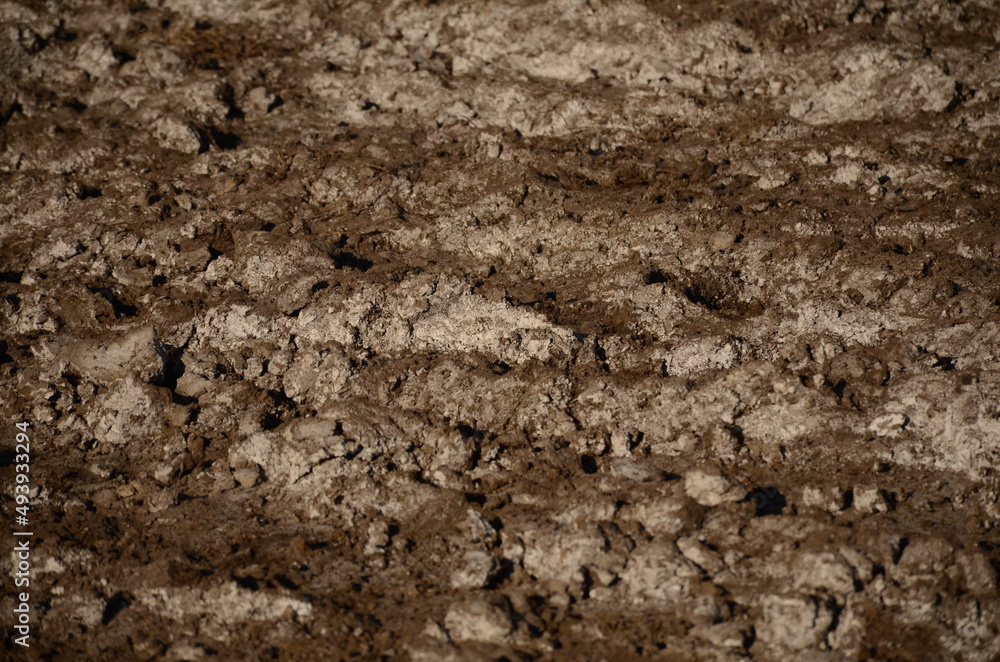 Brown soil with white salt coming to the surface. Agriculture concept