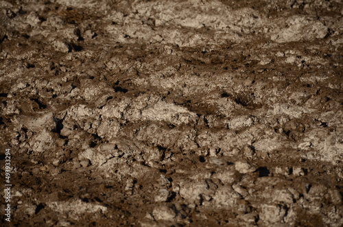 Brown soil with white salt coming to the surface. Agriculture concept