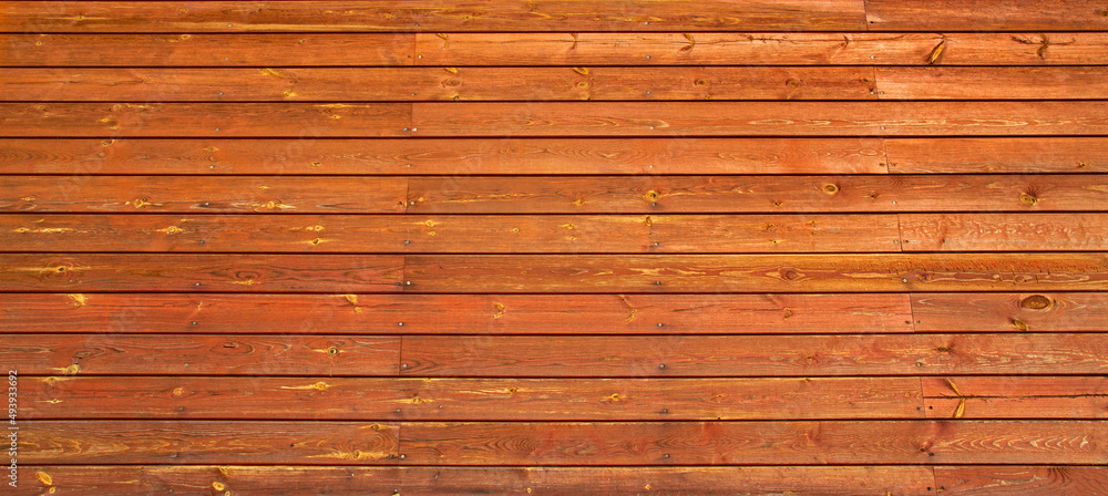 Fototapeta premium Texture wallpaper in the form of photos of tree bark and wood close-up. Pictures were taken in March 2022 in Podlasie and Masuria in Poland.
