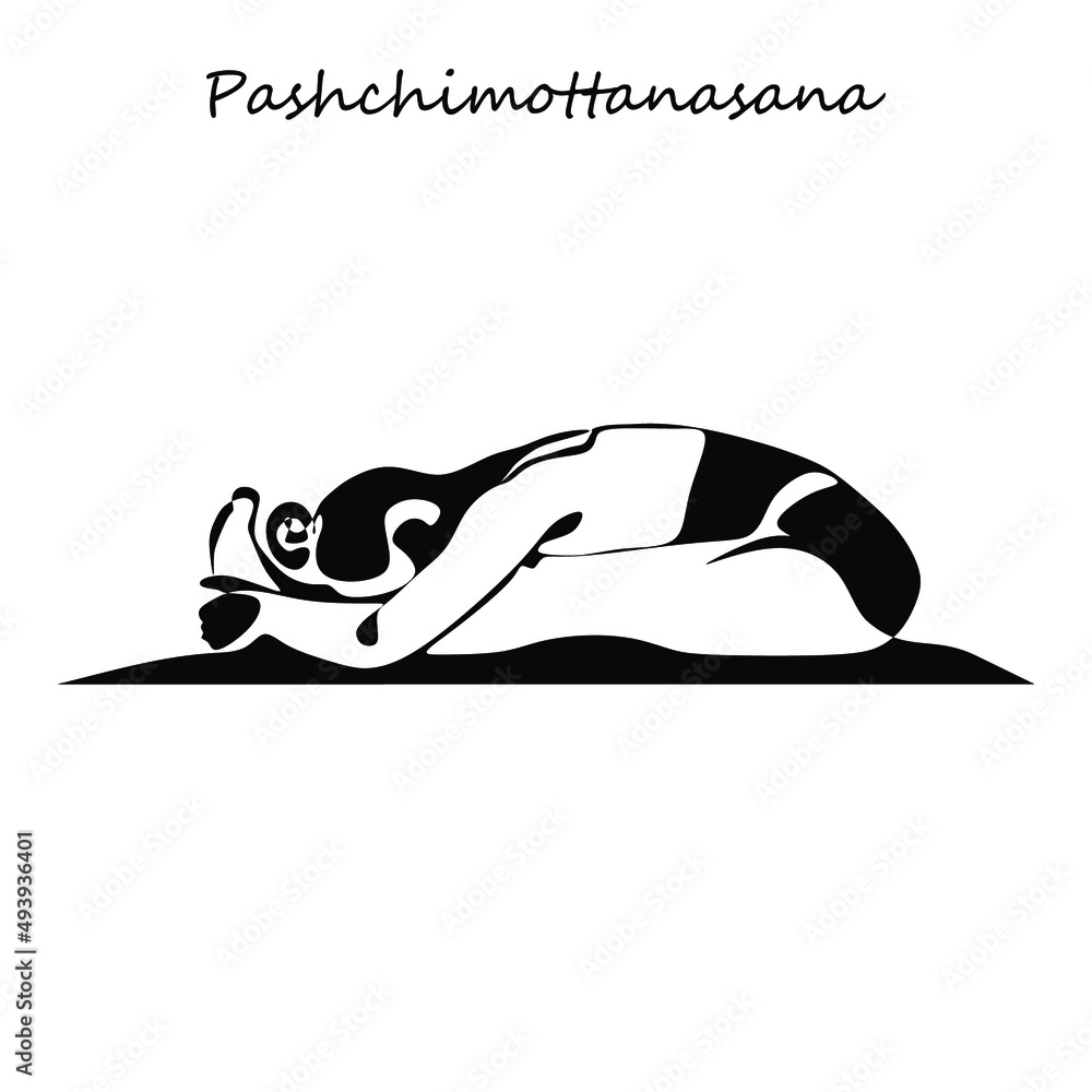 Continuous line drawing. Young woman making yoga exercise, silhouette picture. Oneline drawn black and white illustration Continuous line drawing. Young woman making yoga exercise, silhouette picture. Oneline drawn black and white illustration