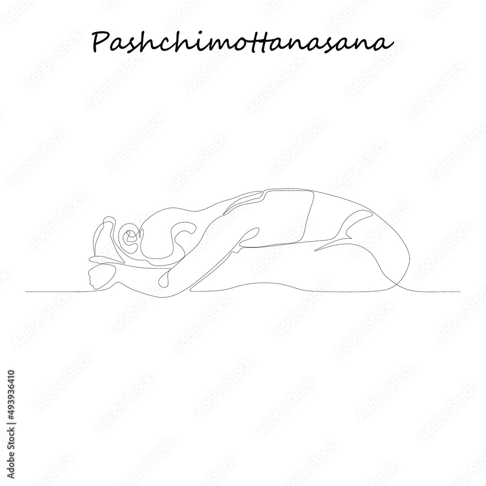 Continuous line drawing. Young woman making yoga exercise, silhouette picture. Oneline drawn black and white illustration Continuous line drawing. Young woman making yoga exercise, silhouette picture. Oneline drawn black and white illustration