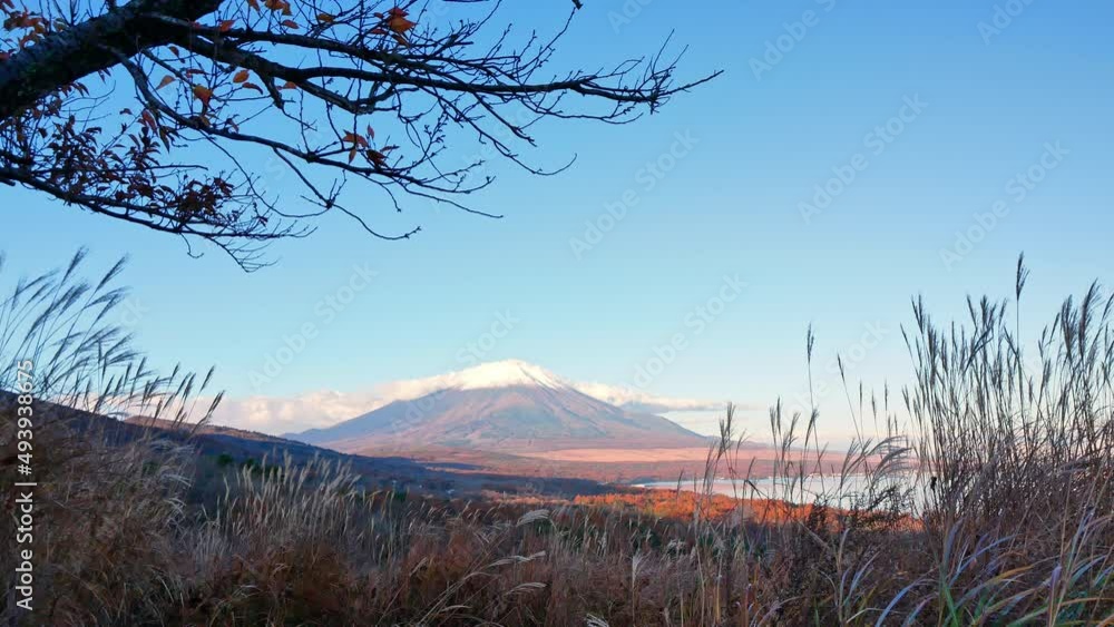 Colorful Autumn with Mountain Fuji in Japan Lake Yamanakako
Colorful Autumn with Mountain Fuji in Japan Lake Yamanakako