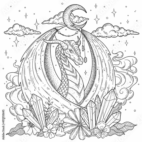 Adult coloring book page with beautiful dragon on white background