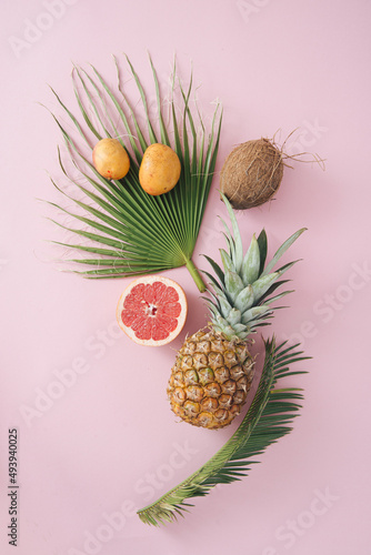 tropical fruits layout with copy space