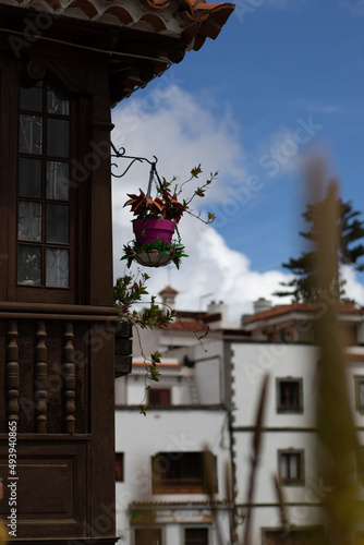 Balkon mit Blumen vor weißer Hausfassade