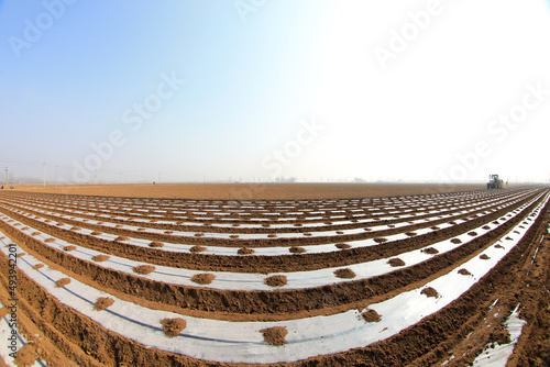 Farmers use a planter to sow plastic coated potatoes in the field, North China