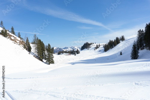 The village of Stoos is set in a delightful alpine landscape at the foot of the Fronalpstock mountain, on a sunny alpine plateau of the same name at about 1300 m. Stoos is reached by the steepest way.