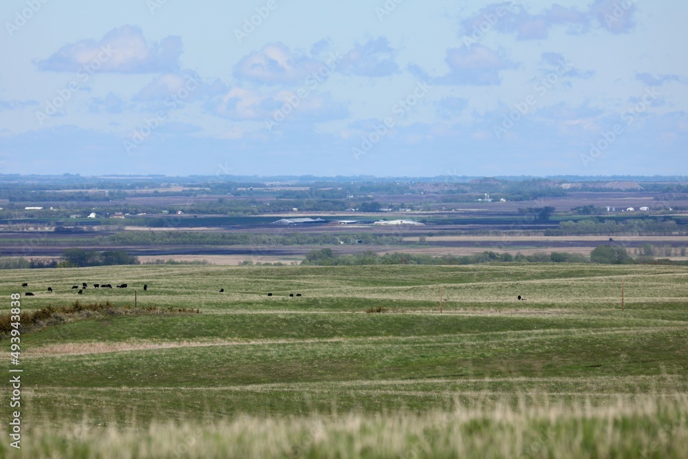 landscape with fields