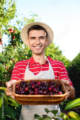 Young man holding basket wi...