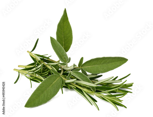 Sage and rosemary