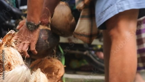 close up of a worker's hand peeling a dried coconut fruit, a farmer peeling a coconut with a sharp iron rod, the production process of making coconut oil photo