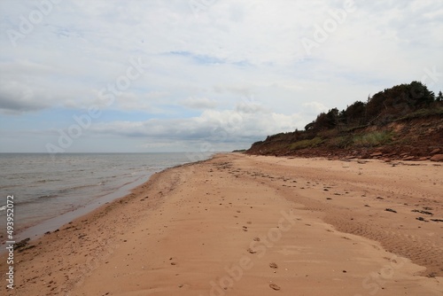 sand dunes on the beach