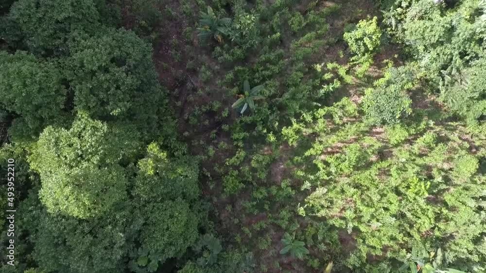 Nature aerial view. drone flight Nature aerial view. drone flight