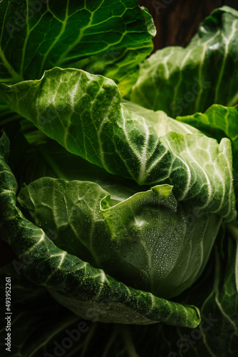 Fényképezés green cabbage close up