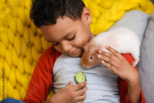 Little African-American boy feeding cute guinea pig at home photo