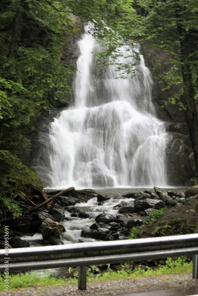 Obraz premium waterfall in the woods