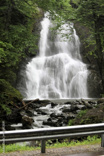 waterfall in the woods