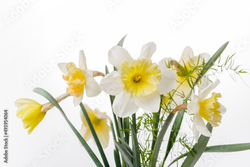 Pretty yellow daffodils on white background isolated
