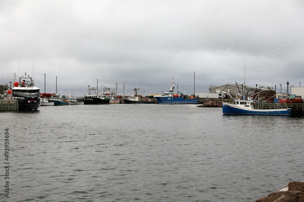 boats in the harbor