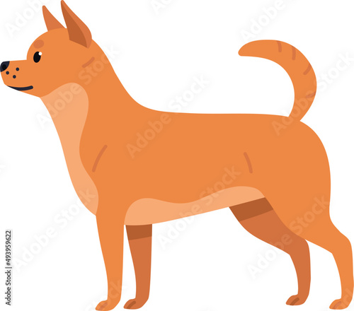 Cute Chihuahua Dog Breed Illustration