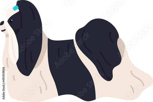 Shih Tzu Dog Breed Illustration