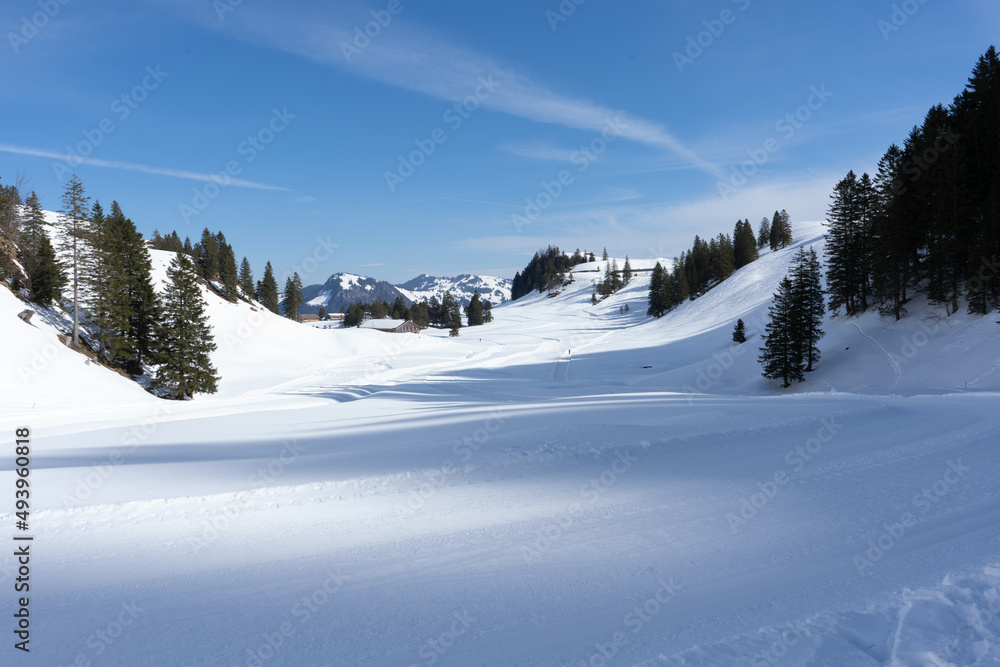 The vacation and excursion region of Schwyz is located in the heart of Switzerland. It is easily and quickly accessible from all directions. Discover unique landscapes, living customs, world-famous 