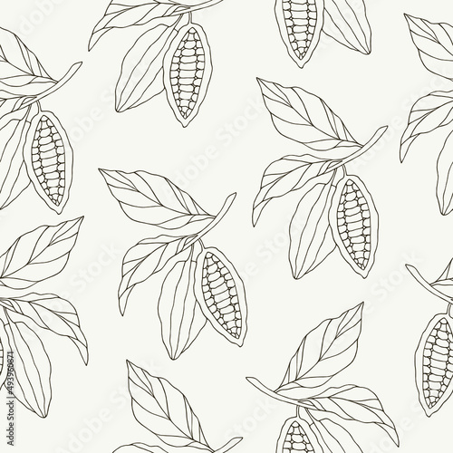 Hand drawn cacao seamless pattern. Botanical design