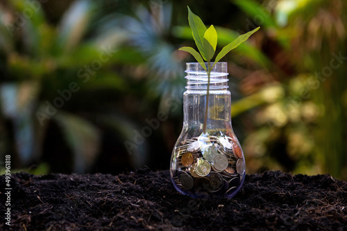 Money saving economy environment.  Plants growing in money coins in glass jar for investment planning travel and retirement. Nature Background.  Saving and Investment Concept photo