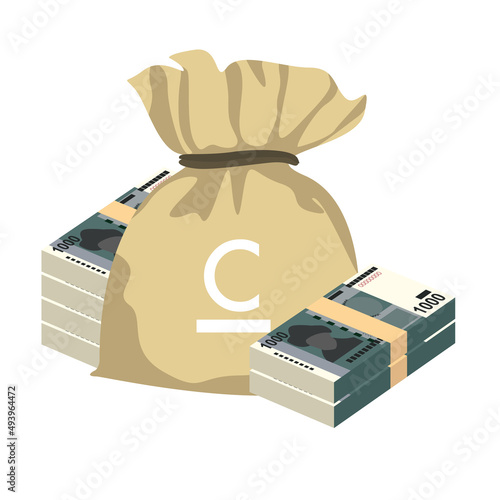 Kyrgyz som Vector Illustration. Kyrgyzstan money set bundle banknotes. Money bag 1000 som. Flat style. Isolated on white background. Simple minimal design.