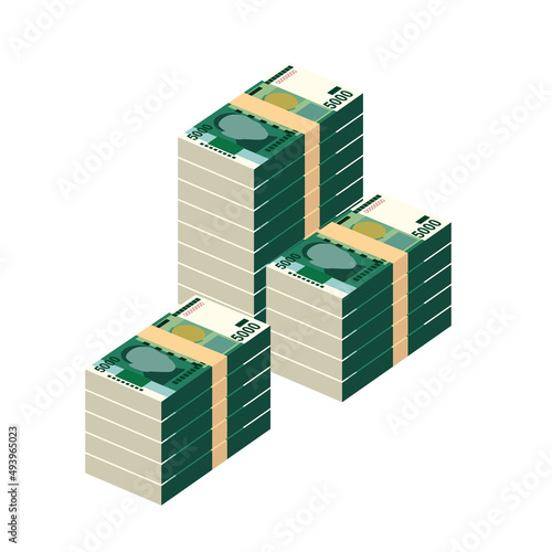 Kyrgyz som Vector Illustration. Kyrgyzstan money set bundle banknotes. Paper money 5000 som. Flat style. Isolated on white background. Simple minimal design.