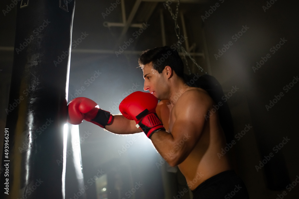 Sporty man training in boxing gym. Side view of sweaty boxer practicing with punching bag in dark hall, backlit effect. Kickboxing concept