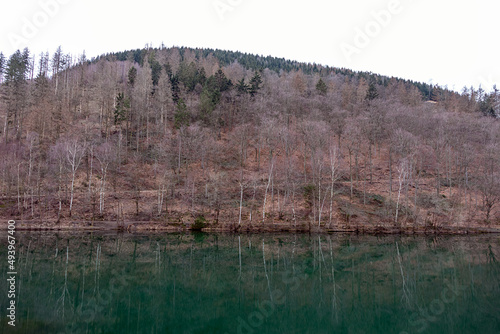 H  gel mit vielem Totholz und einem See im Vordergrund