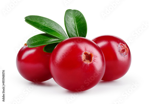 Cranberry isolated. Cranberries with leaves on white background. Three cranberry berries with clipping path. Full depth of field. photo