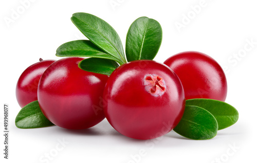 Cranberry isolated. Cranberries with leaves on white background. Four cranberry berries with clipping path. Full depth of field. photo