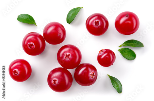 Cranberry isolated. Cranberries with leaves on white background. Cranberry berries top view with clipping path. Full depth of field. photo