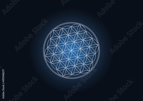 Flower Of Life Illustration, Sacred Geometry, Ancient Symbol, Mandala, Dark Blue Abstract Background HD, Seed Of Life Sign, Mystic, Spirituel, Esoteric Backdrop