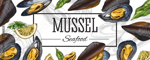 Mussel banner or menu template hand drawn colorful vector illustration.
