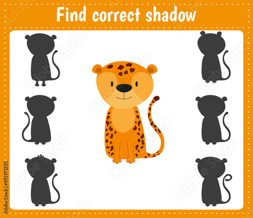 Find the correct shadow. Jaguar. Animals