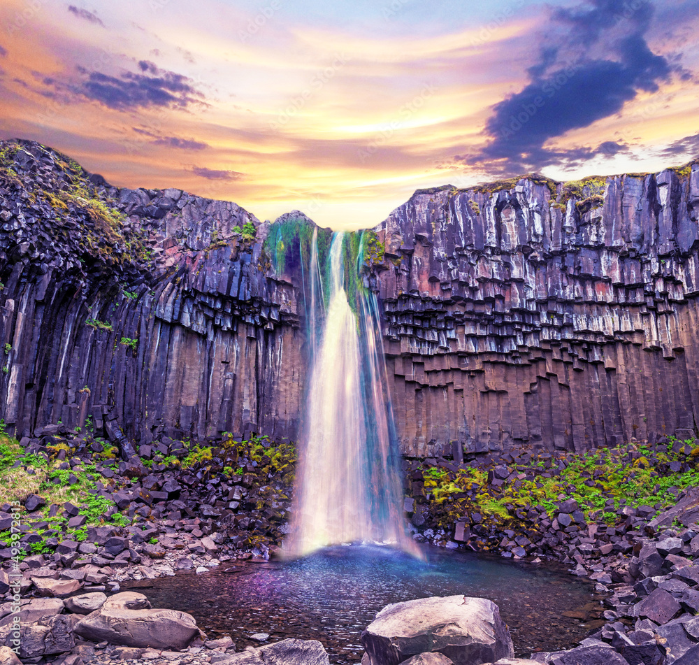 Magical landscape with a famous Svartifoss waterfall in the middle of basalt pillars in Skaftafell, Vatnajokull National Park, Iceland. Exotic countries. Amazing places.