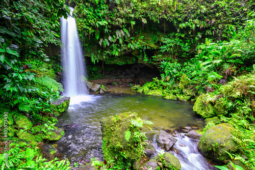One of the most popular spots on the Caribbean island of Dominica is the Emerald Pool photo