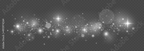 The dust sparks and silver stars shine with special light. White dust, white sparks and golden stars. Christmas Abstract stylish light effect.