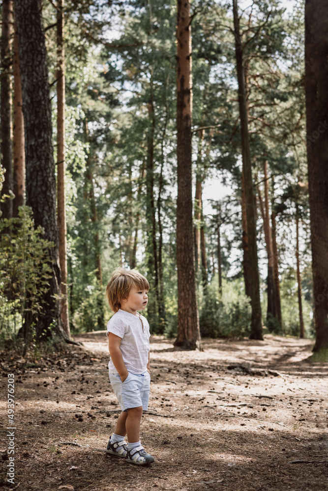 Happy cute toddler boy in t-shirt and shorts walking along path in summer park. Little kid outing on path in pine forest. Hyper-local travel concept. Active lifestyle. Child having fun in green woods. Happy cute toddler boy in t-shirt and shorts walking along path in summer park. Little kid outing on path in pine forest. Hyper-local travel concept. Active lifestyle. Child having fun in green woods.