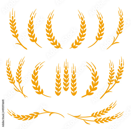 wheat stalks, barley and rye bunch set icons