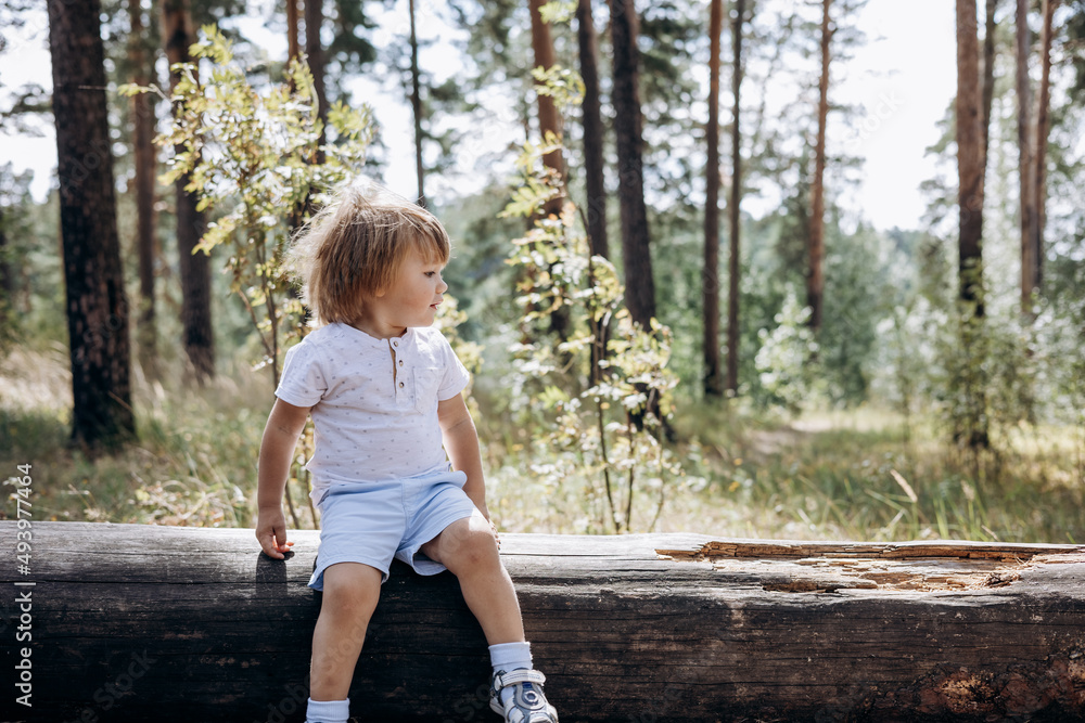 Happy cute toddler boy in t-shirt and shorts walking along path in summer park. Little kid sitting on log in pine forest. Hyper-local travel concept. Active lifestyle. Child having fun in green woods. Happy cute toddler boy in t-shirt and shorts walking along path in summer park. Little kid sitting on log in pine forest. Hyper-local travel concept. Active lifestyle. Child having fun in green woods.