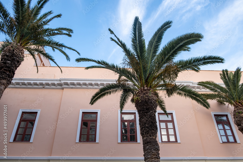 Neoclassical building facade and palm tree at Syros island, Ermoupolis town, Greece