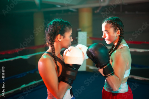 Side view of serious girls ready to start boxing on ring. Two young girls standing with hands in attack and defense position, preparing to exchange punches. Healthy lifestyle, female boxing concept