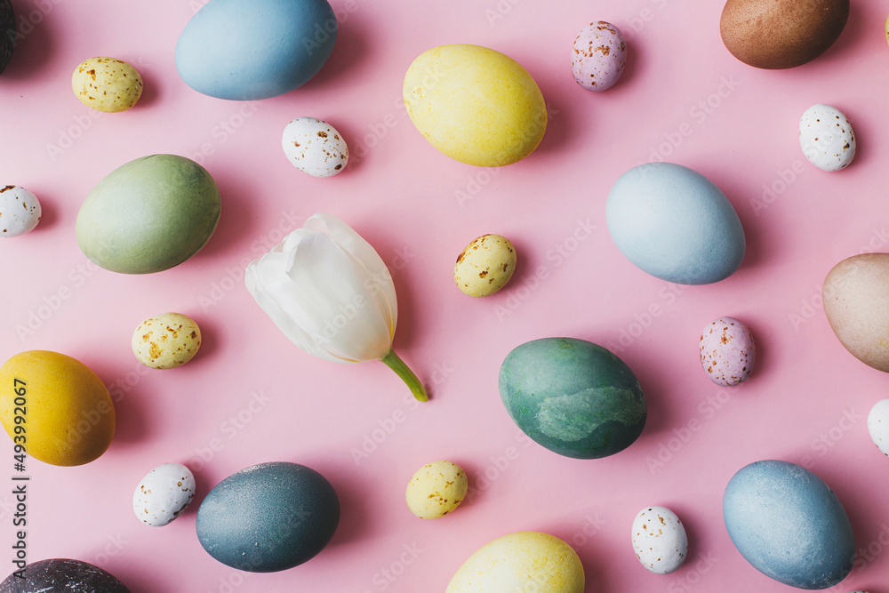 Easter composition. Stylish eggs and tulip flat lay on pink background. Modern natural dyed colorful easter eggs and chocolate candy composition on pink. Greeting card, easter background Easter composition. Stylish eggs and tulip flat lay on pink background. Modern natural dyed colorful easter eggs and chocolate candy composition on pink. Greeting card, easter background