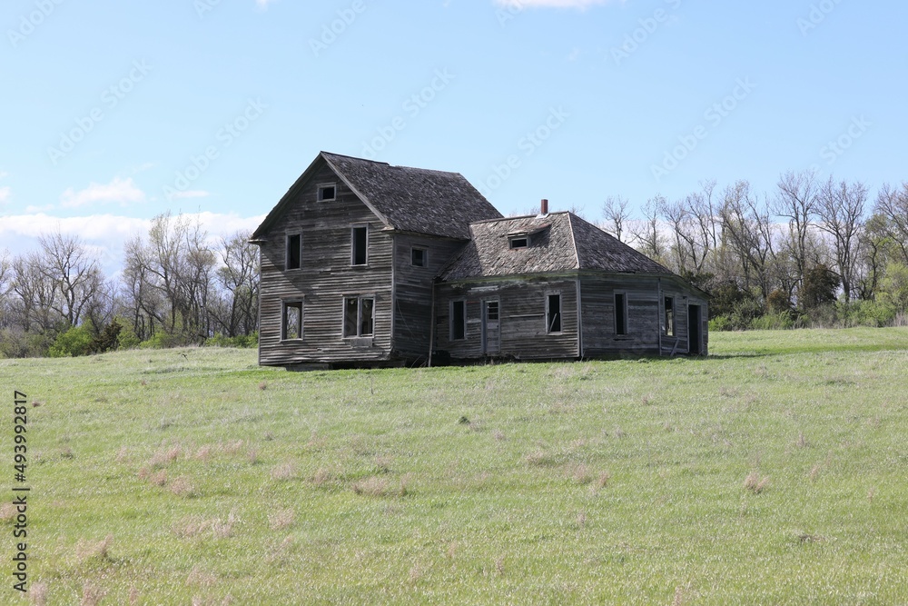 Fototapeta premium old house in the woods