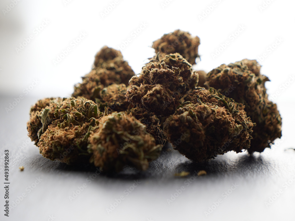 Cannabis Cannabis